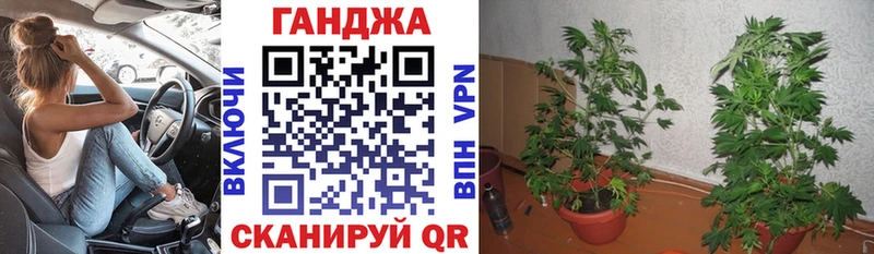 Каннабис конопля Петрозаводск